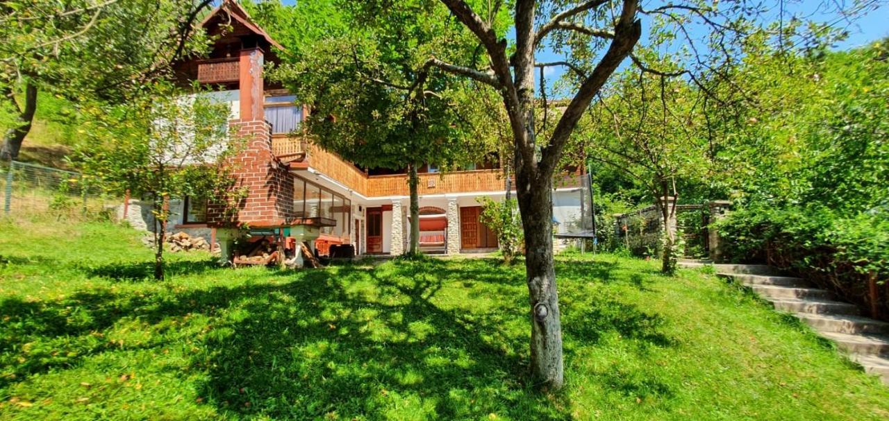 Casa Colt De Rai Villa Brezoi Exterior photo