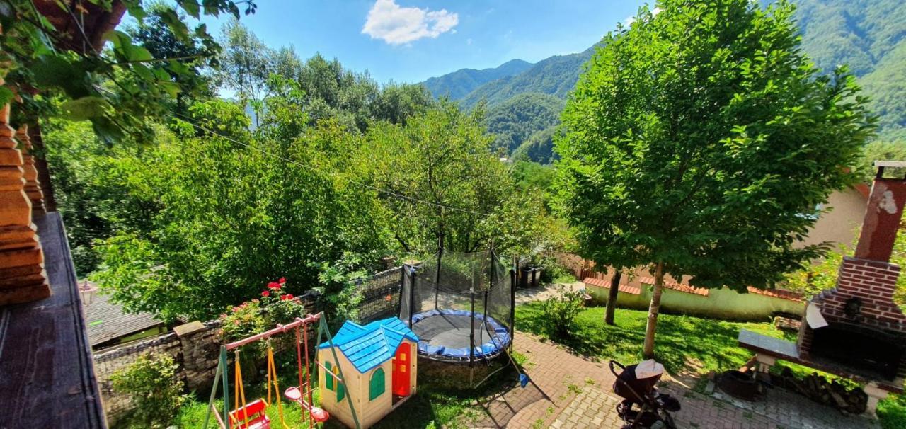 Casa Colt De Rai Villa Brezoi Exterior photo
