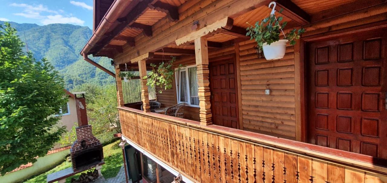 Casa Colt De Rai Villa Brezoi Exterior photo