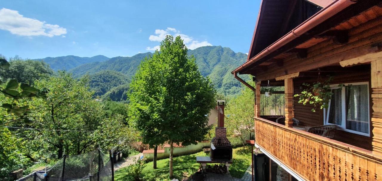 Casa Colt De Rai Villa Brezoi Exterior photo