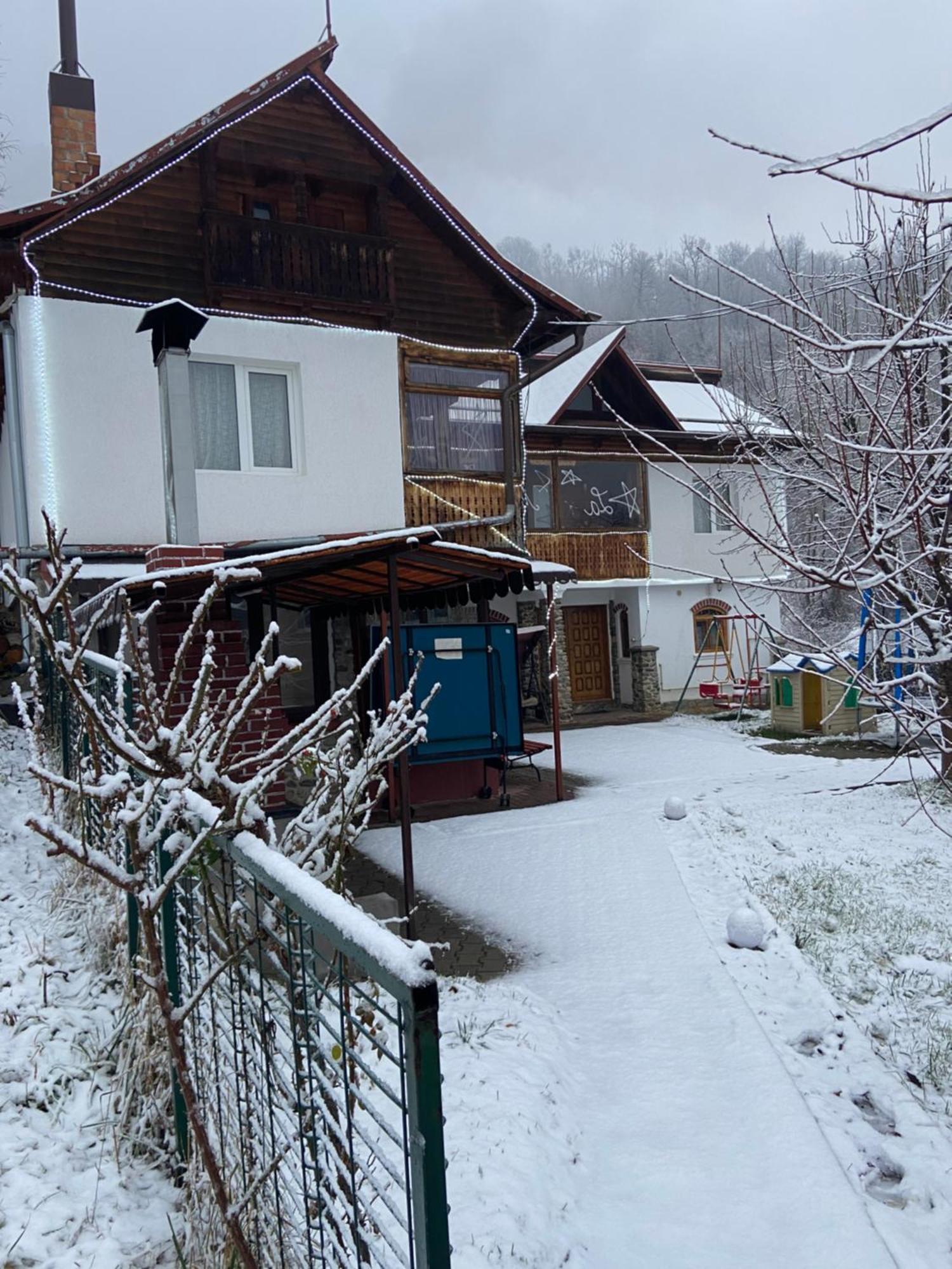 Casa Colt De Rai Villa Brezoi Exterior photo