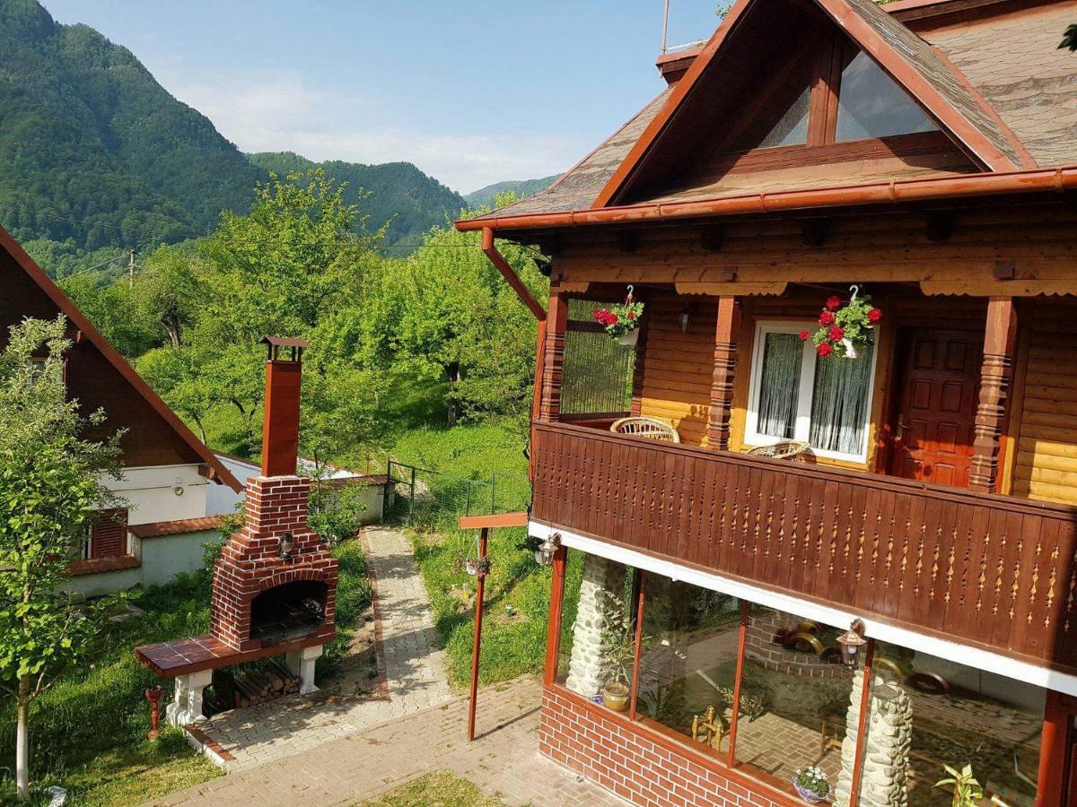 Casa Colt De Rai Villa Brezoi Exterior photo